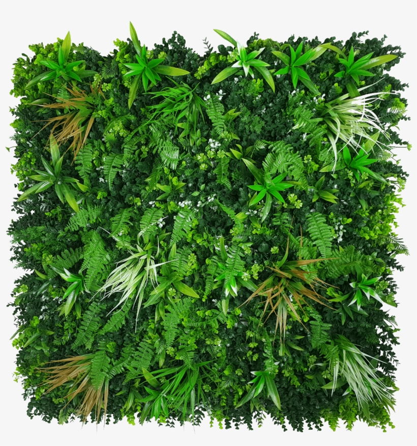 Wild Grass Png, transparent png download