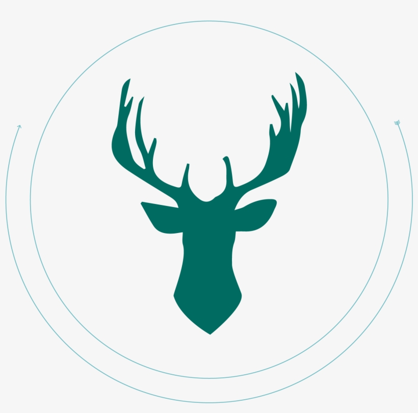 Deer Antler Png - Reindeer, transparent png download