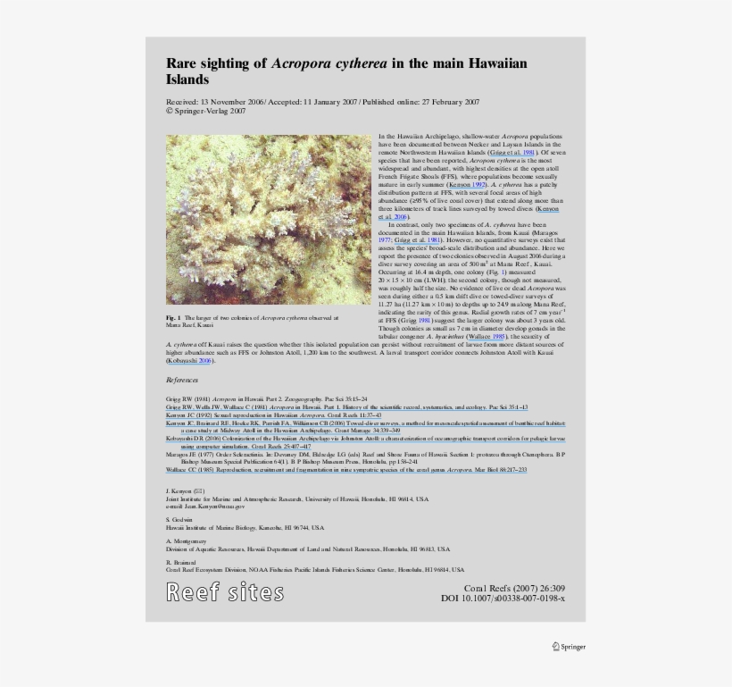 Rare Sighting Of Acropora Cytherea In The Main Hawaiian - Tree, transparent png download