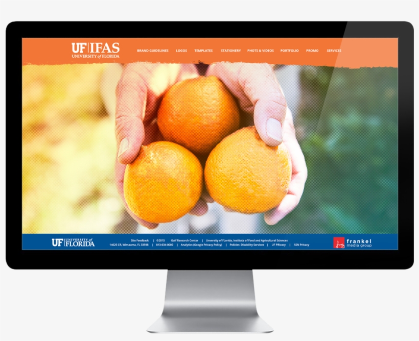 1 - Apart Gamze, transparent png download