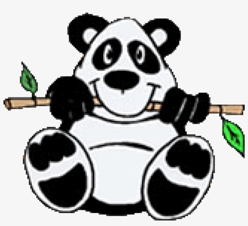 Panda - Panda Cartoon, transparent png download