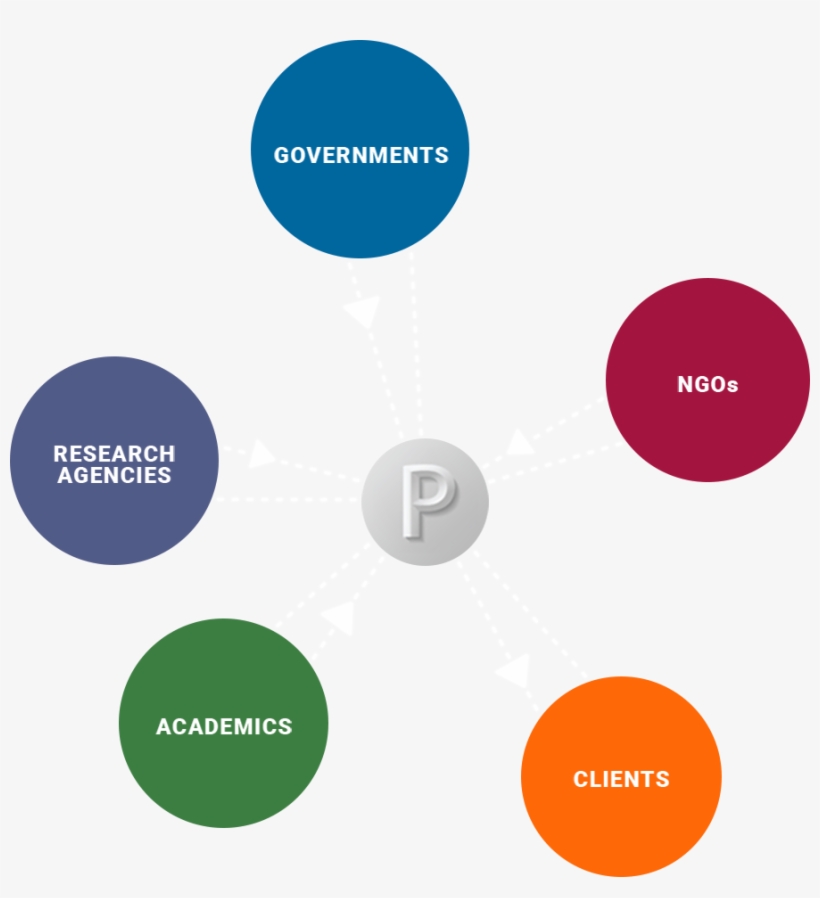 The Paragon Partnership Structure - Paragon Partnership, transparent png download
