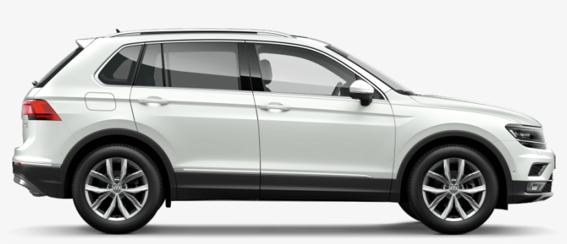 composition media polo