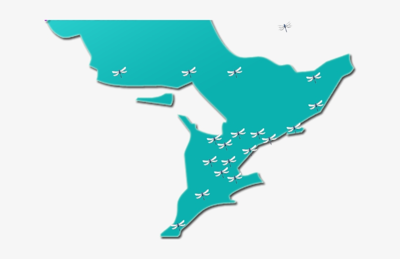 Cropped Testimonial Map2 Spiritual Readings By Kelly - Ontario Map Vector, transparent png download