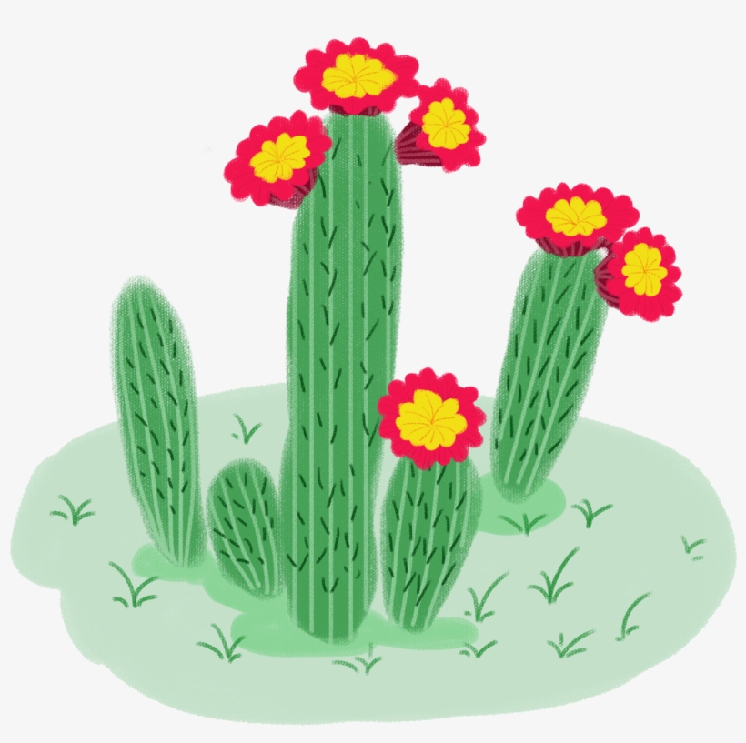 Planta Fresco Caricatura Mão Png E Psd - Hedgehog Cactus, transparent png download