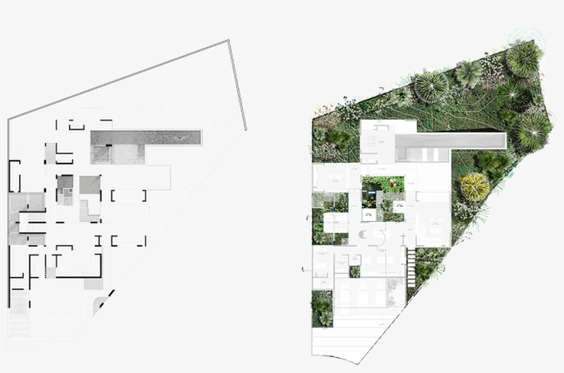 Cj 12 Jardin Planta 1 - Jardin En Planta Png, transparent png download