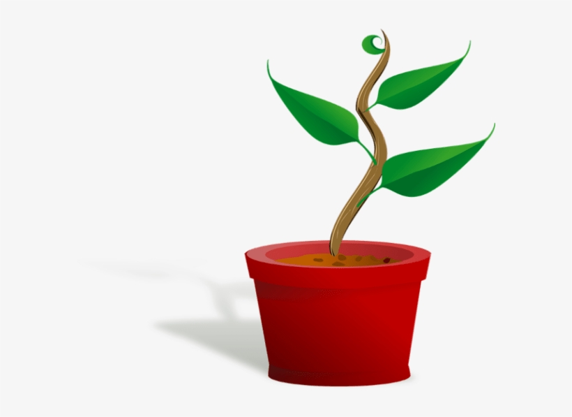 Plant Clip Art, transparent png download
