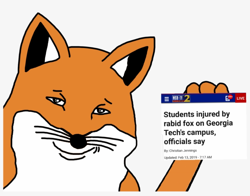 Fox, transparent png download