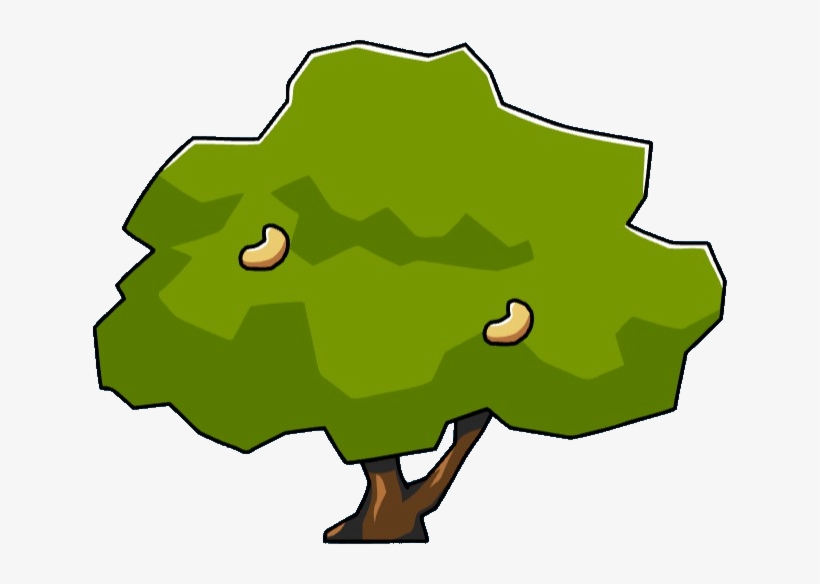 Cashew Tree, transparent png download