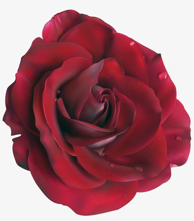 Red Large Rose Clipart Picture M=1374271200 - Rose Vector, transparent png download