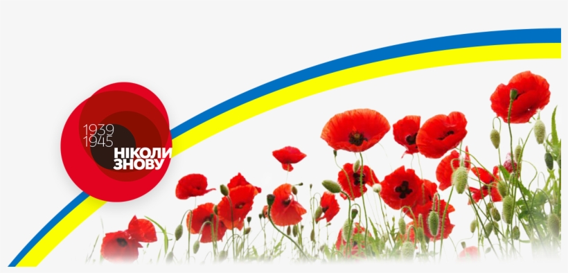 10 Pm 434073 Holiday Independence Day 12/26/2016 - Victory Day, transparent png download