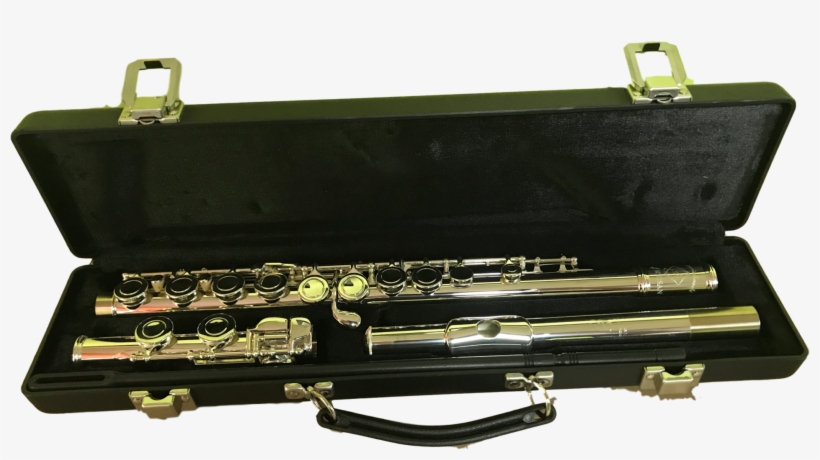 Piccolo Clarinet, transparent png download