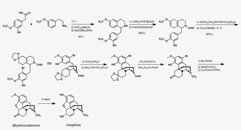 Rice Morphine Synthesis - Biosynthesis Of Morphine Alkaloids, transparent png download
