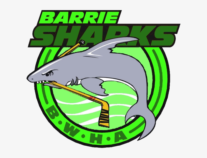 Barrie Green, transparent png download