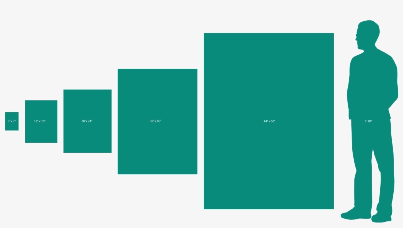 Show Scale Of Piece - 30 X 40, transparent png download