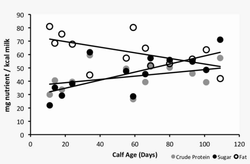 Nutrient Composition Of Reticulated Giraffe Milk Expressed - Monochrome, transparent png download