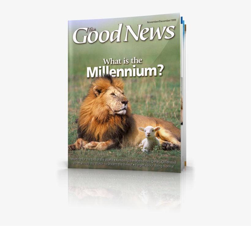 Removing The Myths From Jesus Christ's Birth And Childhood - Good Night Jesus Diner, transparent png download