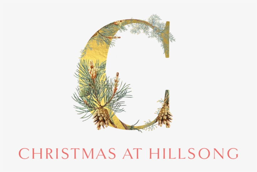 Of Gathering Together With Friends And Family, Of Warm - White Pine, transparent png download