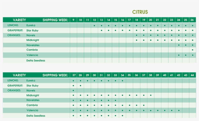 Citrus Calendar 2 - Number, transparent png download