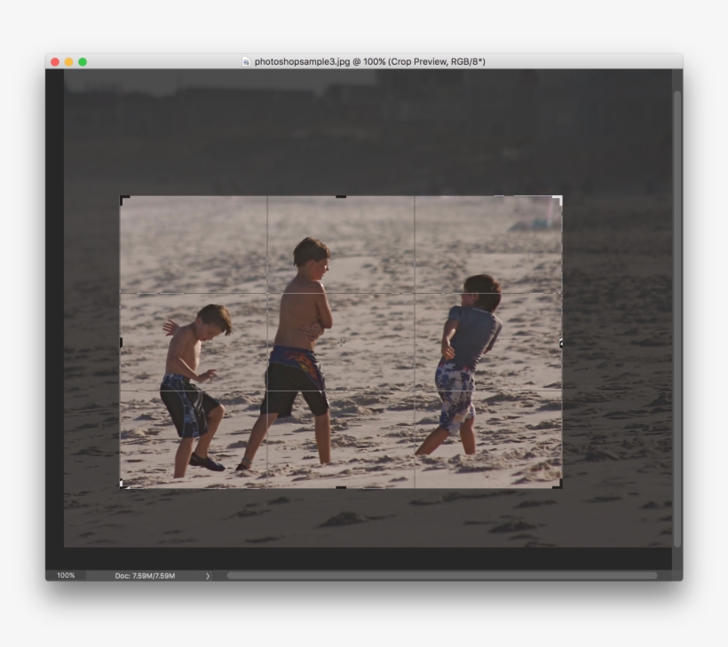 Sample Crop, transparent png download