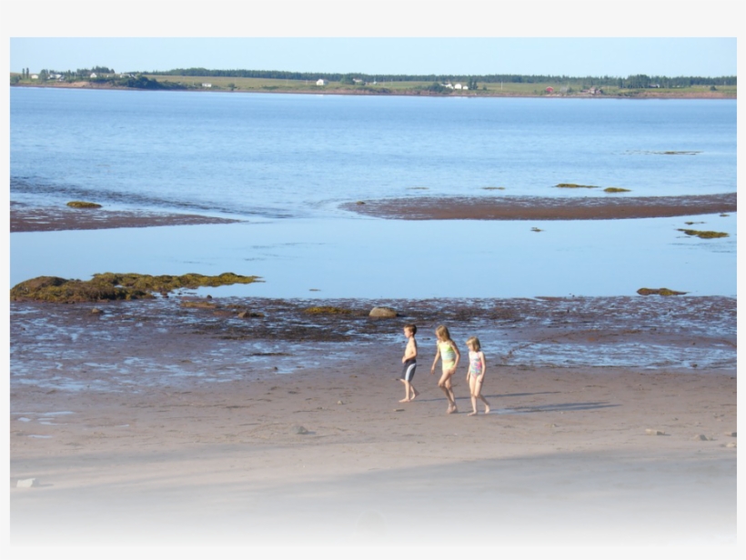Take A Stroll Through The Fields Or Along Our Uncrowded - Beach Ridge, transparent png download