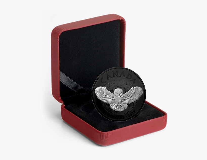 Nocturnal By Nature - Coins, transparent png download