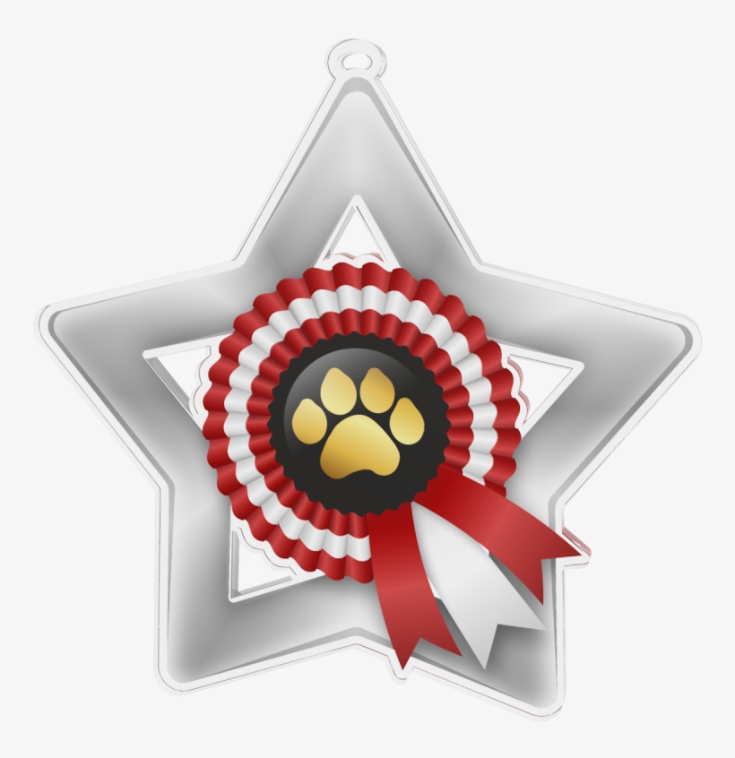 Dog Show Rosette Mini Star Silver Medal - Medal, transparent png download