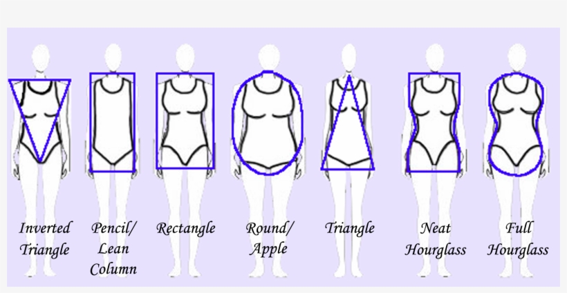 Body-shapes - Body Shapes, transparent png download