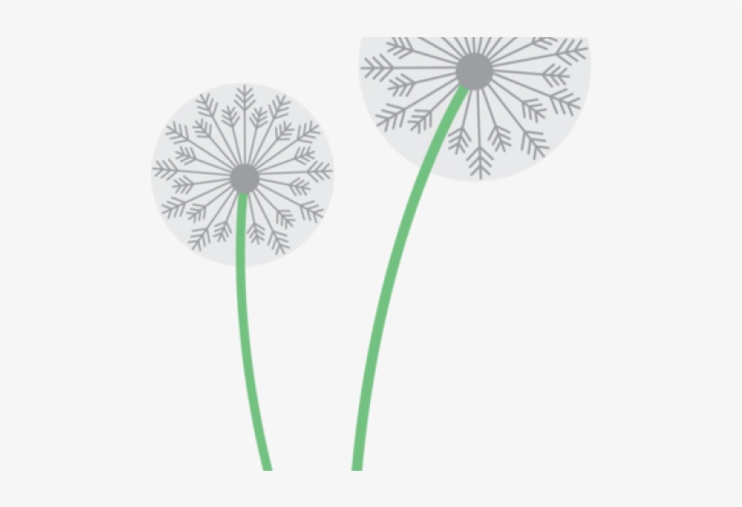 Dandelion Clipart Two - Circle, transparent png download