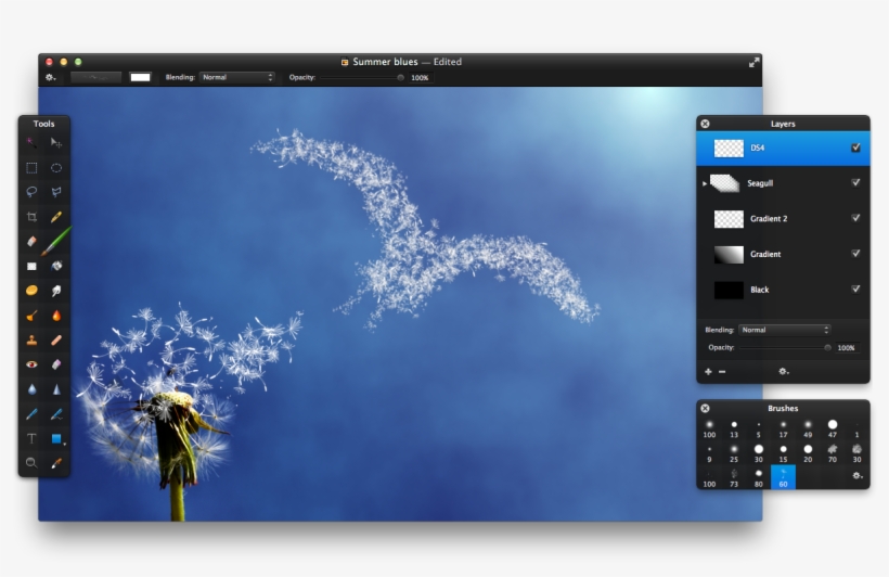 Add Strokes Of The Brush Around The Dandelion And Leading - Herb, transparent png download