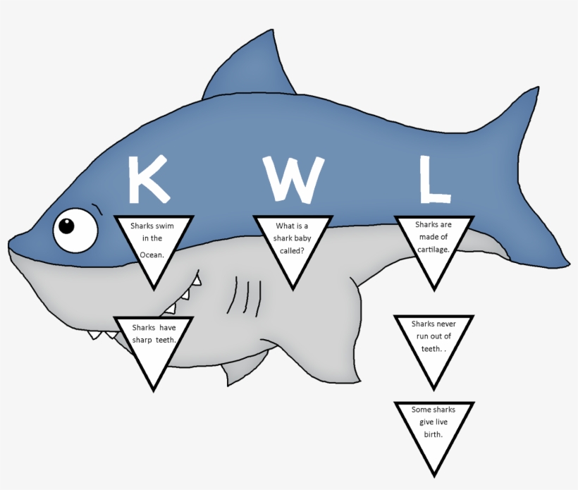 Sharks The Schroeder Page - Shark, transparent png download