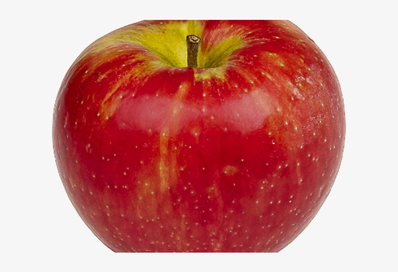 Apple Fruit Png Transparent Images - Best Shampoo For Dry Hair In Pakistan, transparent png download
