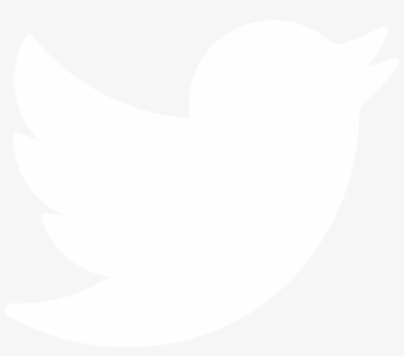 Twitter Transparent Logo White Transparent Png 00x00 Free Download On Nicepng Twitter Transparent Logo White Transparent Png 00x00 Free Download On Nicepng