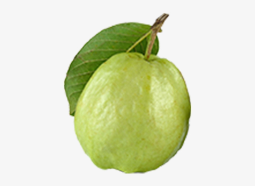 ×close - Lemon, transparent png download