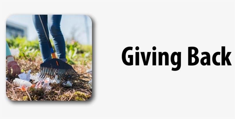 Grass, transparent png download