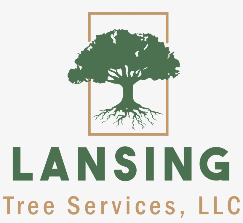 Lansing Tree Services - Tree, transparent png download