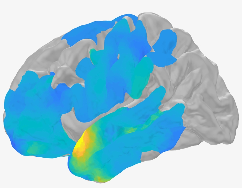 Memory Ripples - Earth, transparent png download