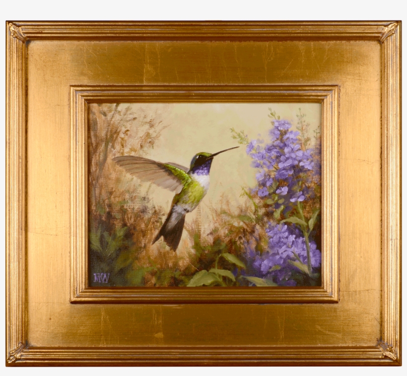 Mary Kay West Violet-throated Hummingbird - Ruby-throated Hummingbird, transparent png download