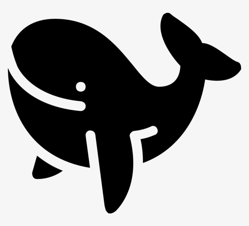 Marine Mammal Humpback Whale Whale Watching Computer - Whale, transparent png download