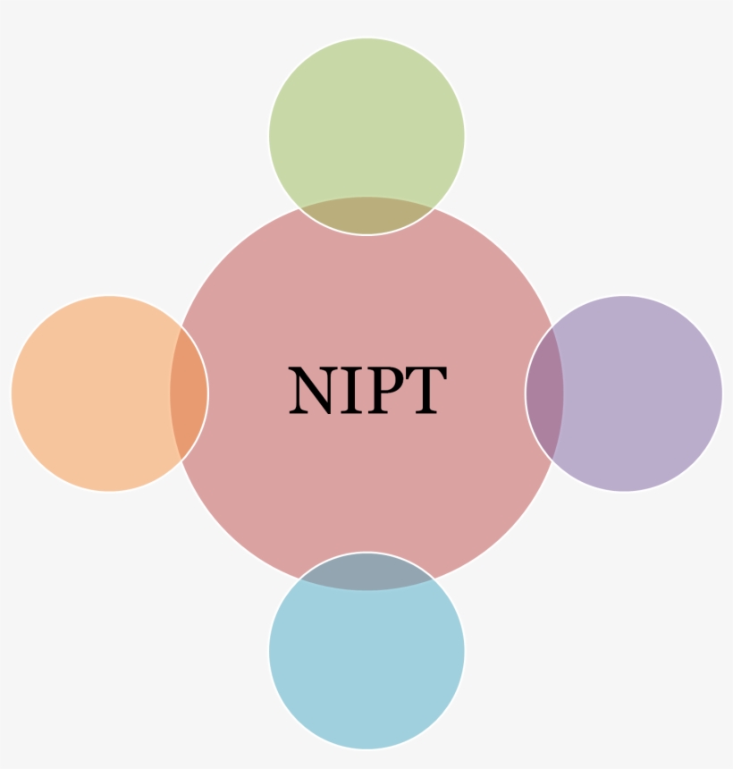 Niptlabs Customer Service Qualities Transparent PNG 2146x1444