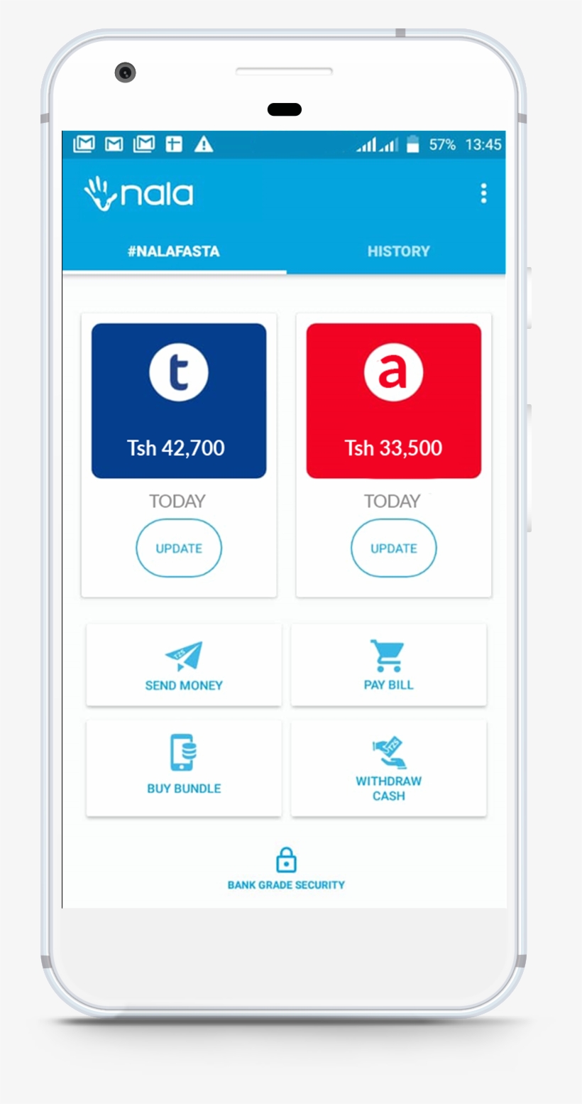 It's Been A Long Road For Fernandes, A Former National - Nala, transparent png download