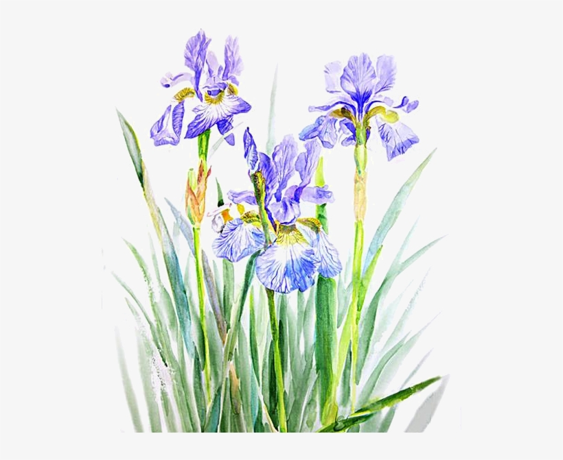 Fleurs éclat Ornement Flowers Tubes Bouquets Tubes