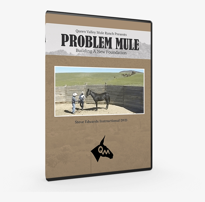 My Cart - Protassov Shalina Music, transparent png download