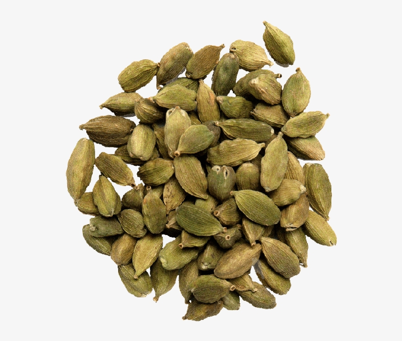 Pumpkin Seed, transparent png download