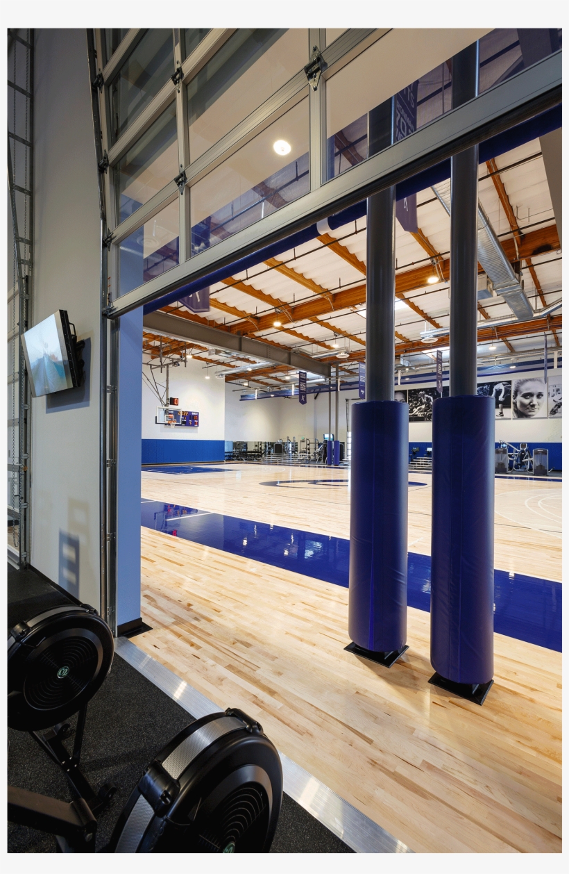 Asics Hq8 - Daylighting, transparent png download