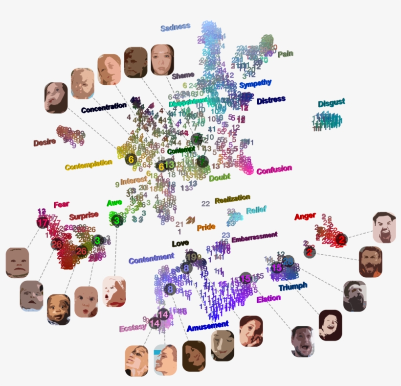 Emotions Recognized In The Face And Body, transparent png download