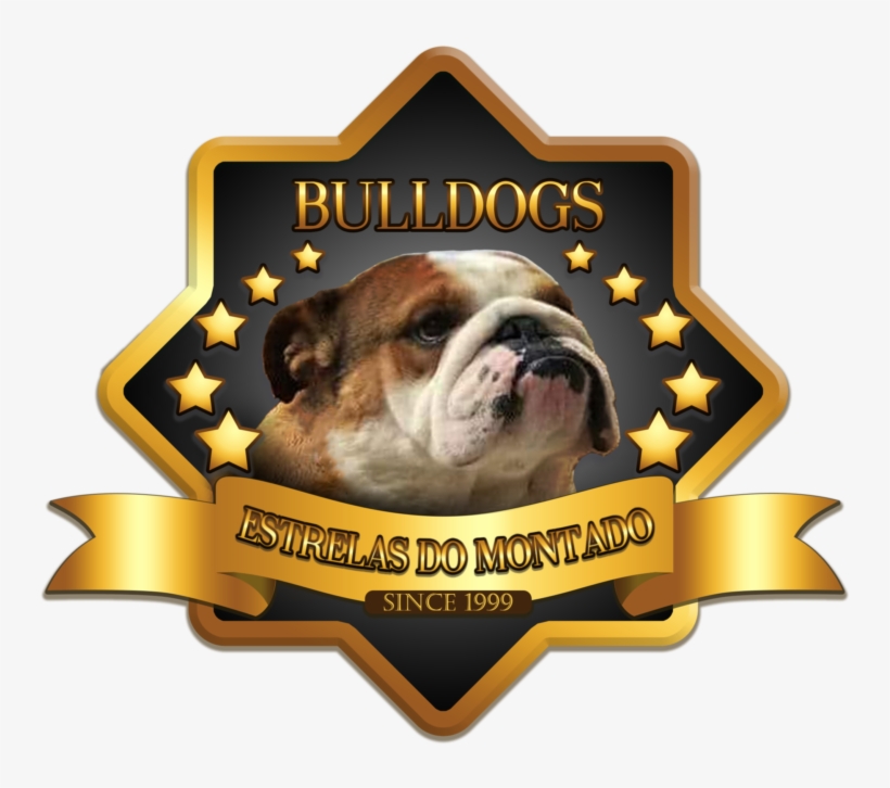 Bulldog Inglês - Illustration, transparent png download