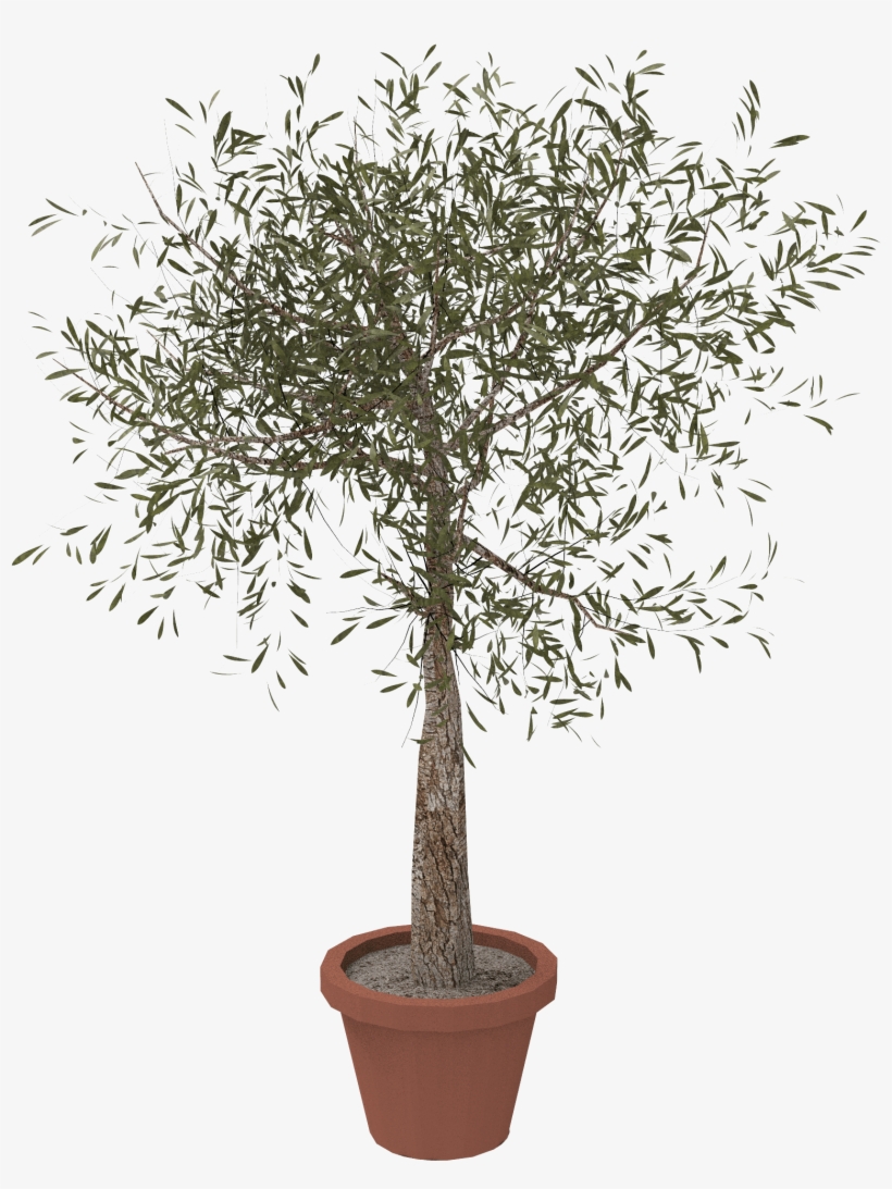 3 000016 P01 - Flowerpot, transparent png download