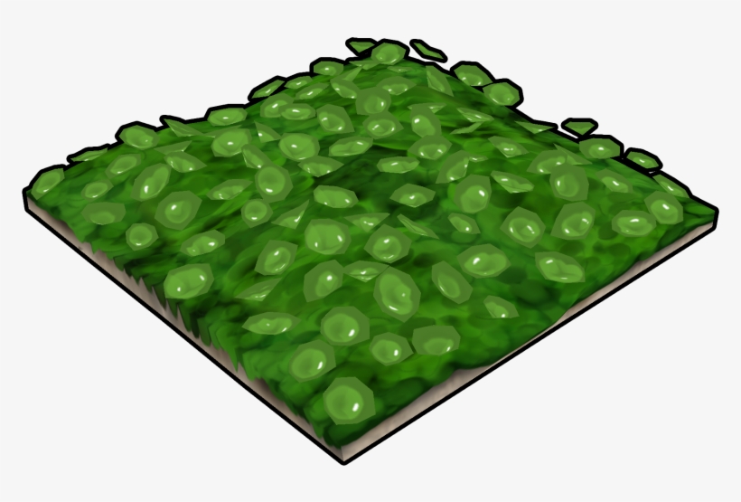 Green Flower Bed - Grass, transparent png download