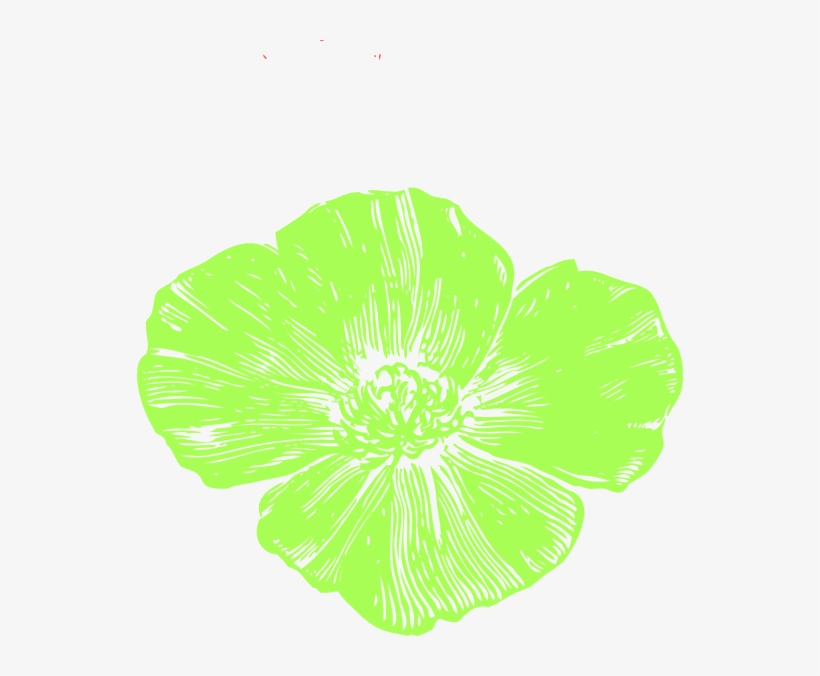 Small - California Poppy, transparent png download